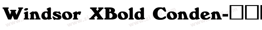 Windsor XBold Conden字体转换 Windsor XBold Conden字体转换
